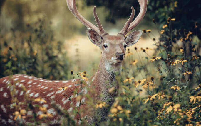 BLog Img